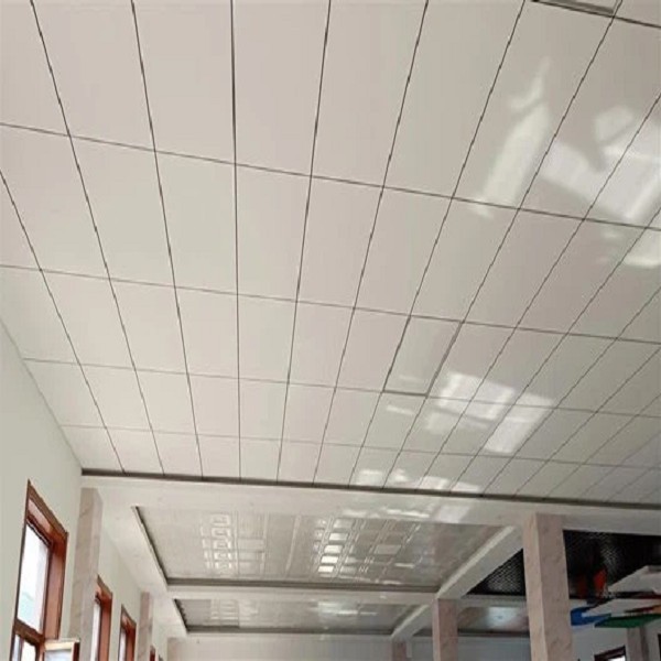 Ceiling PVC board (5)