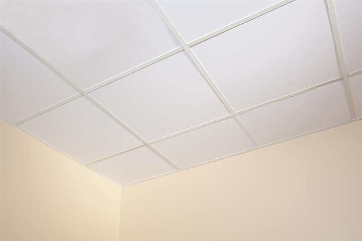 PVC Drop Ceiling